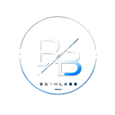 BBVMLABS